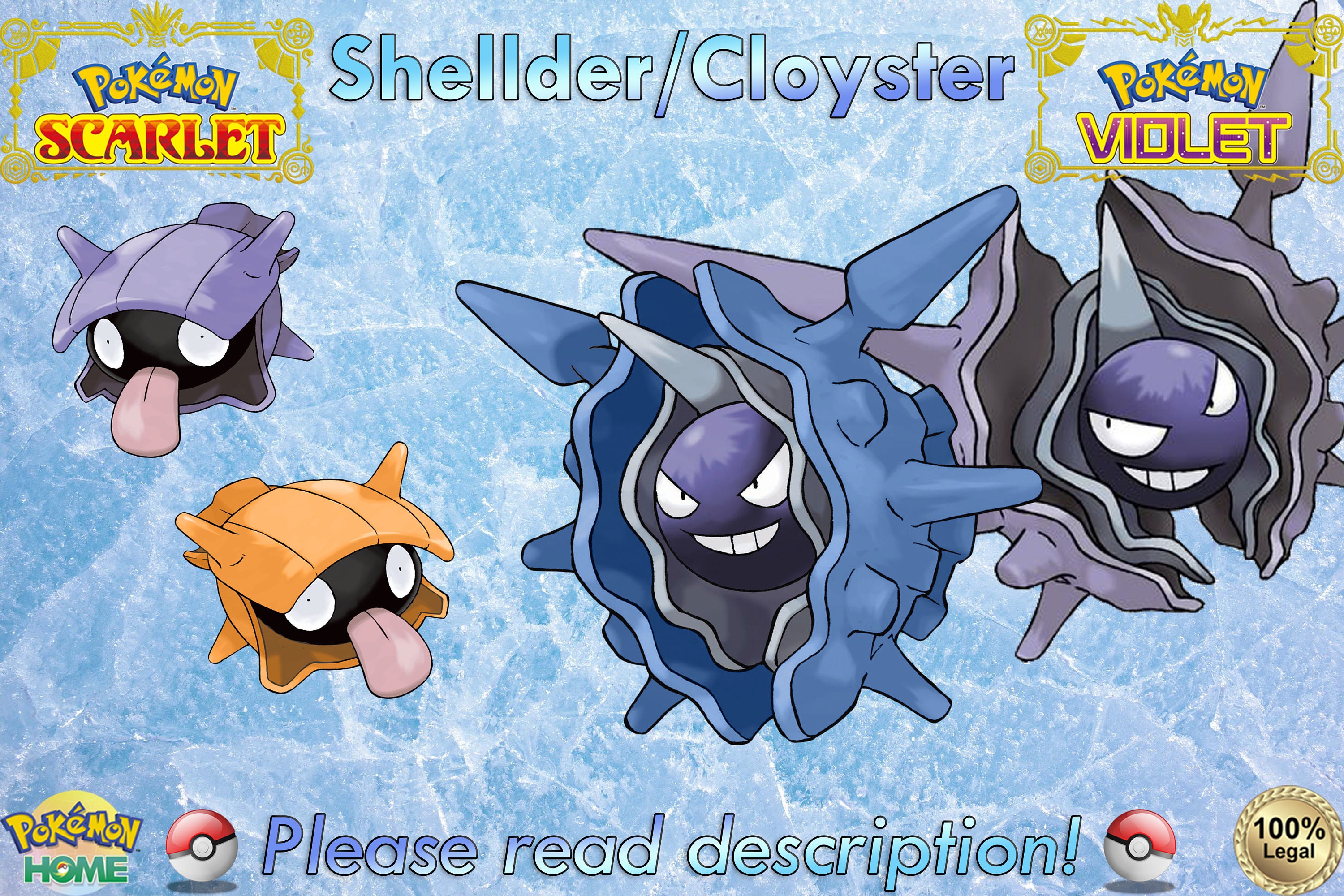 1st Edition Shellder And Cloyster Pokémon Card Evolution Set Near