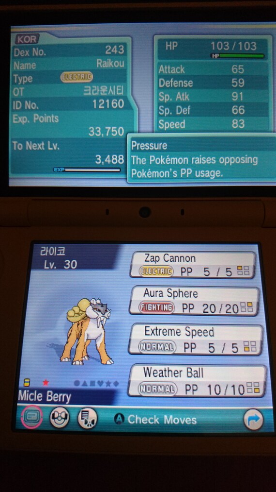 Shiny Raikou EVENTO 6IV - Pokémon Spada/Scudo S/V HOME (100% Legale) - Italia - Foto 3