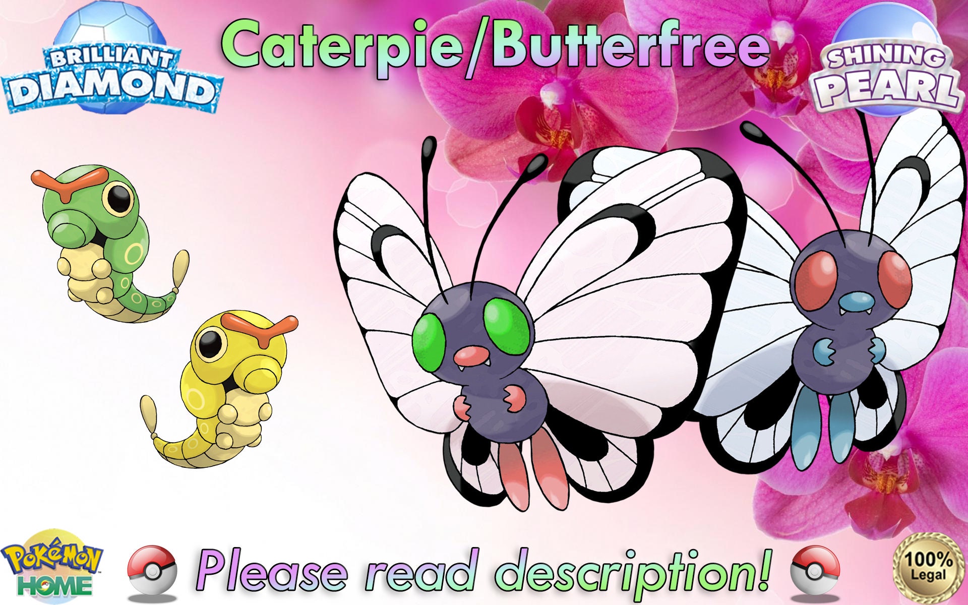 LIVE  Shiny Caterpie in Pokemon Fire Red (With Evolutions) 