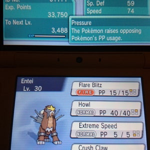 Pode incluir: Uma captura de tela de um jogo Nintendo DS mostrando um Entei Pokémon de nível 30 com 118/118 PV. O Pokémon tem os movimentos Ataque de Chama, Uivo, Velocidade Extrema e Garra Esmagadora. O Pokémon está segurando uma Bagas Custap.