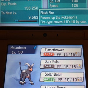Houndoom 2014 Korean World Championship EVENT 6IV - BD/Sp S/V HOME (100% Legal)