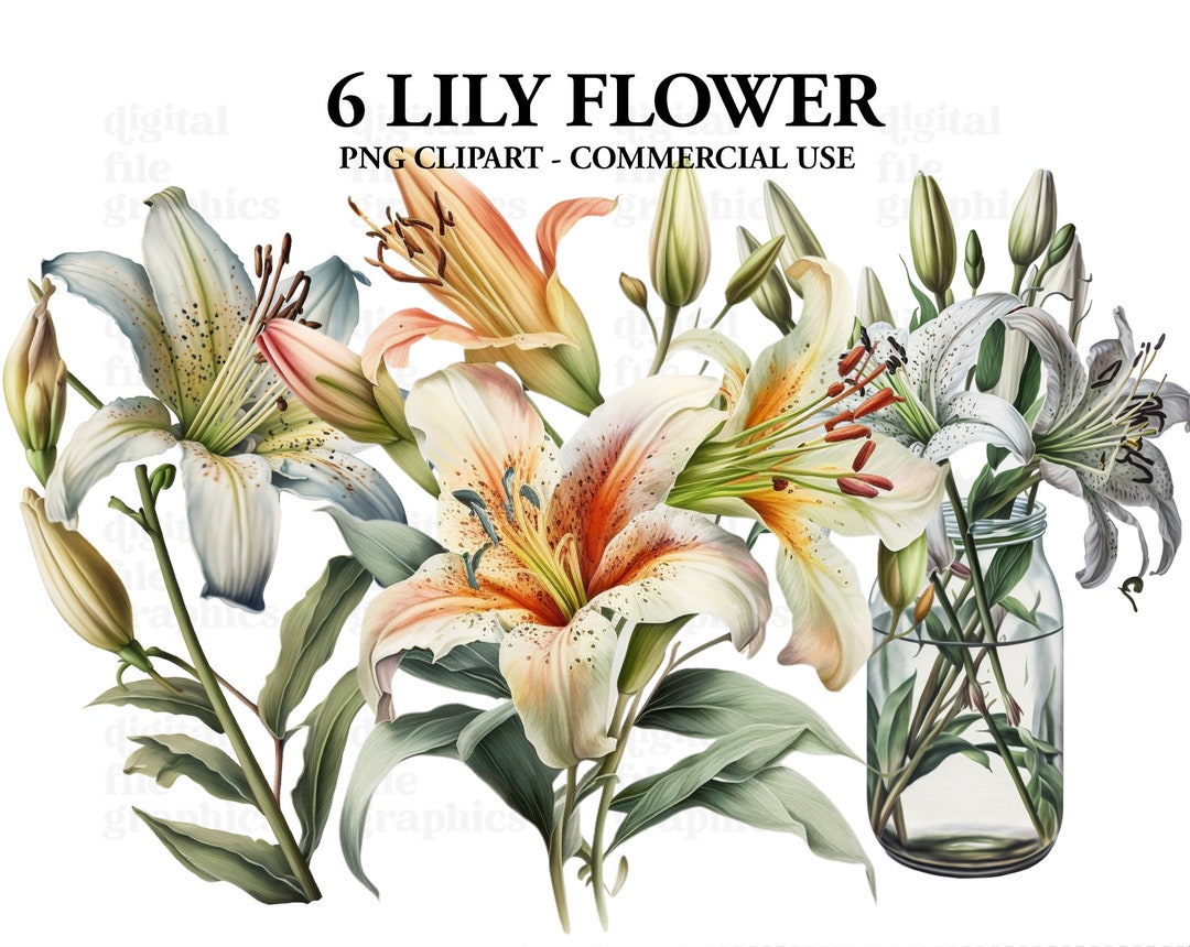 Lily Flower Clipart, Lillies Clipart, Floral Clipart, Floral Nature ...