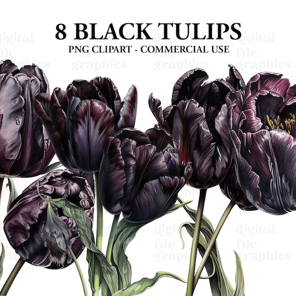 Black Tulips Flowers Watercolor Clipart, Tulip flower art, flower clipart PNG, Tulips Clipart, Instant Download