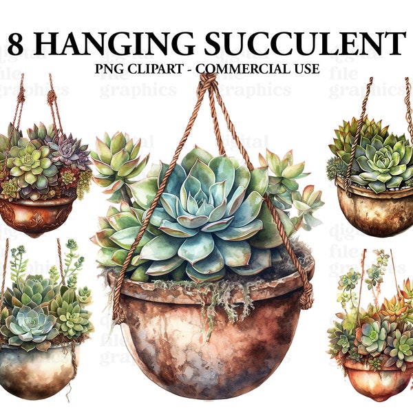 Hanging Succulent plant Watercolor Clipart, Beautiful houseplants png, Landscape art, Plants clipart, Scrapbook, Junk Journal, Paper Crafts