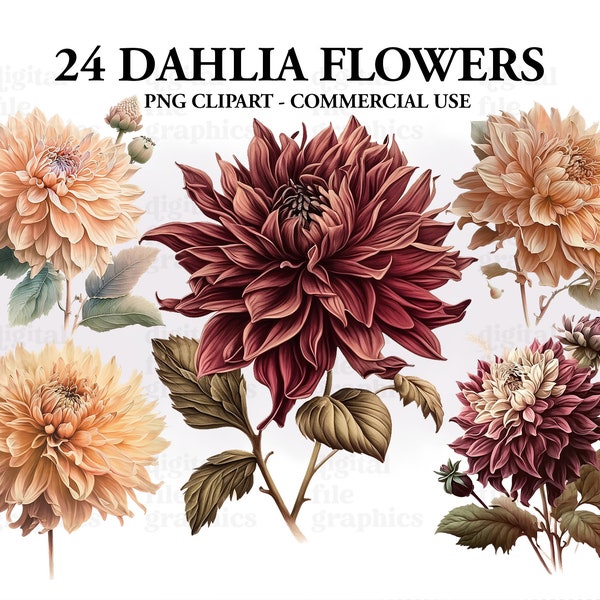 Dahlia Flowers Watercolor Clipart, Apricot Dahlia clipart, Summer flowers clipart, Floral Bundle PNG, Instant Download