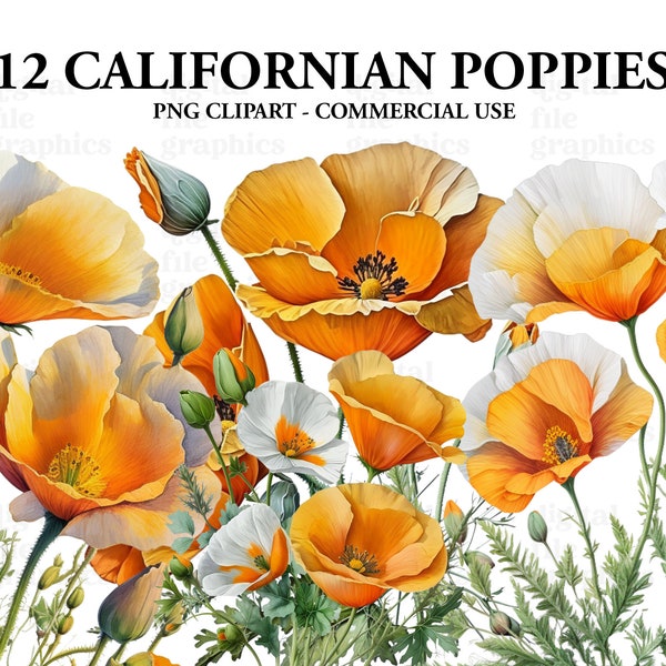 California Poppy Clipart, Floral Clipart, spring flower Clipart PNG, flower Clipart, Paper craft - Junk Journal, Scrapbooking