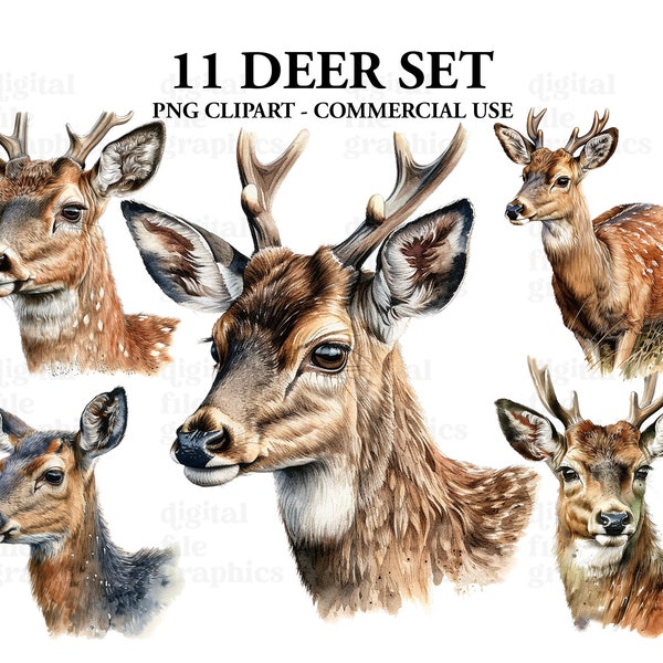Deer Watercolor Clipart, Deer image, Deer Antlers, Instant Download, Scrapbook, Junk Journal, Paper Crafts Scrapbooking
