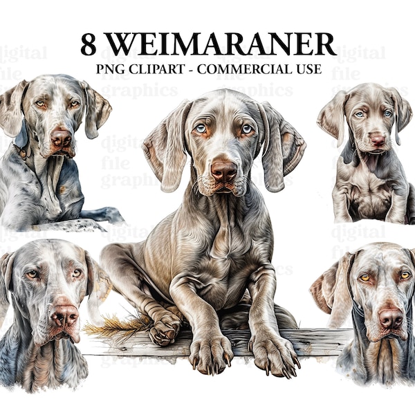 Weimaraner Dog Clipart, Watercolor Dog png, Watercolour clipart, Puppy png clipart, Card making, Junk Journal, Scrapbook