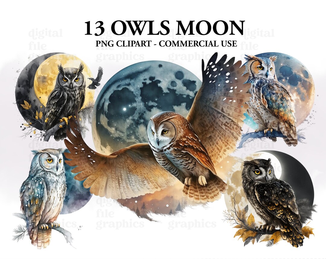 Owl and Moon Watercolor Clipart, Owls Clipart, Fantasy Clipart, White ...