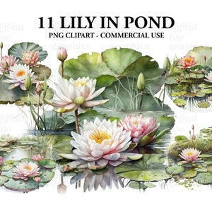 Water lily clipart. Waterlily clipart. Pond Floral clipart, Floral Nature Pond Watercolour, Instant Download, Junk Journal, Paper Crafts