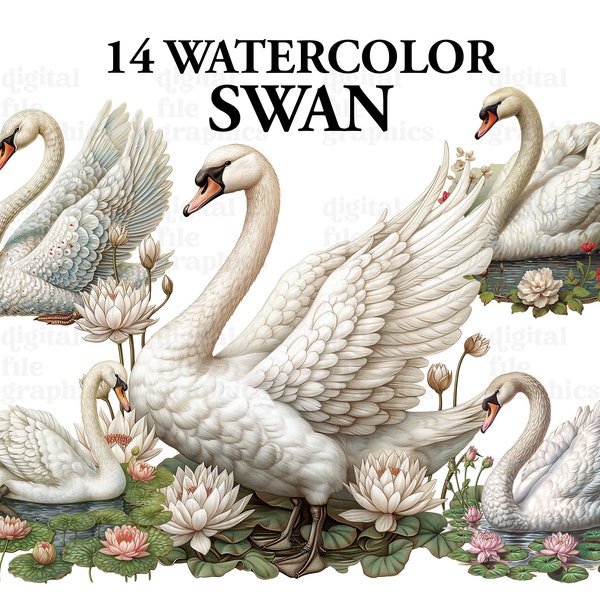 Watercolour Swan, White Swan Clipart, Birds illustrations, Swan pond clipart, Instant Download, Junk Journal Paper Craft