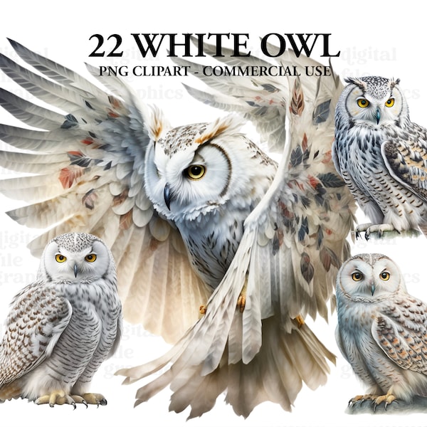 White Owl Watercolor Clipart, Magical Mystical art, Fantasy clipart, White Owl Bundle PNG, Magic clipart, Instant Download