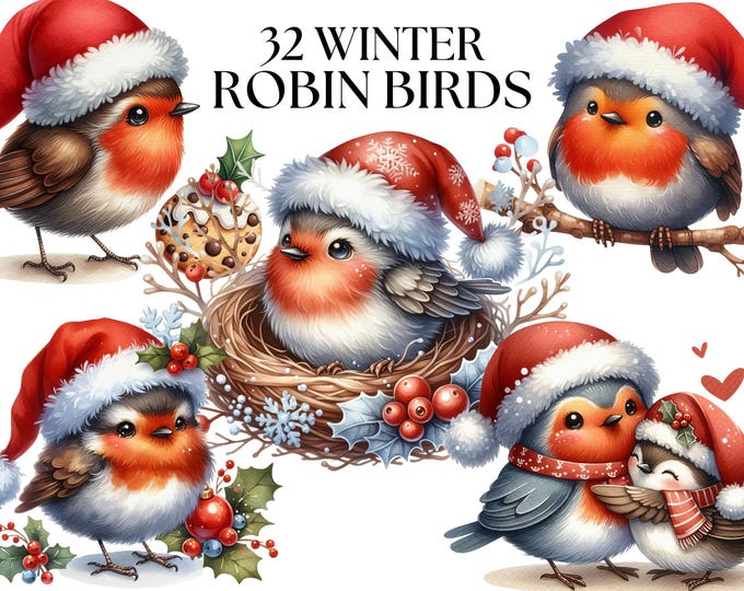 Winter Robin Bird Watercolor Clipart, Christmas Robin Bird Clipart PNG ...