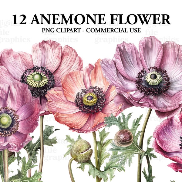 Anemone Flower Watercolor Clipart, Floral clipart, Summer flowers clipart, Anemone bouquet Bundle PNG, clipart set