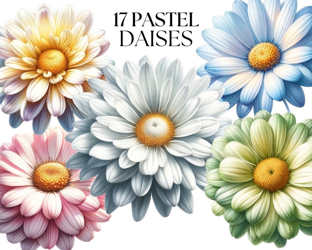 Watercolour Pastel Daisies Clipart Spring Flower Elements PNG Digital ...