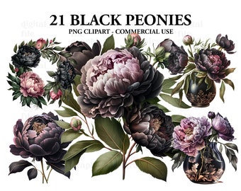 BLACK Peonies Watercolor Clipart, Summer flowers clipart, Peonies Bundle PNG, Peony clipart set, Paper craft - Junk Journal, Scrapbooking