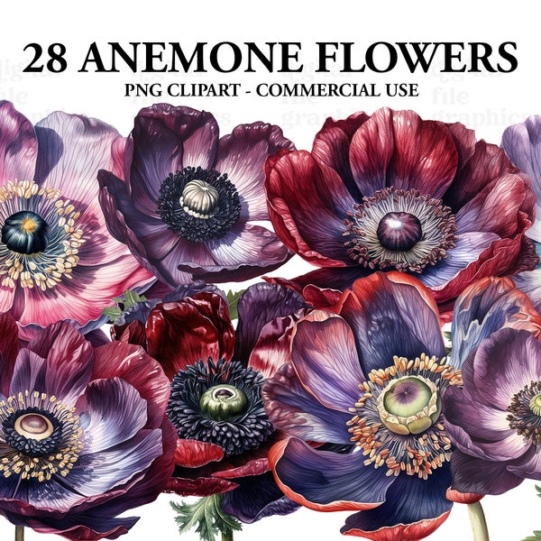 Anemone Flower Watercolor Clipart, Floral clipart, Summer flowers clipart, Anemone bouquet Bundle PNG, clipart set