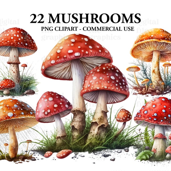 Clipart aquarelle champignon, art de la forêt aquarelle, clipart Fantasy, Bundle de champignons PNG, clipart magique, téléchargement immédiat