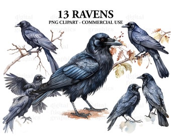 Raven Clipart Clipart, Crow Bird Witch clipart PNG, Witches PNG, Scrapbook, Junk Journal, Paper Crafts Scrapbooking