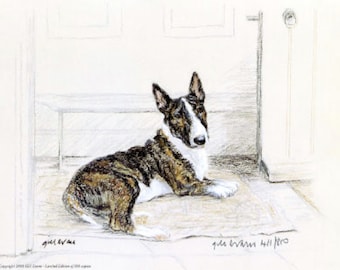 Signed Bull Terrier Limited Edition Print by Gill Evans (11x8) GE097