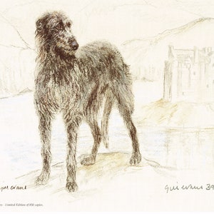 Deerhound Dog Limited Edition Art Print by Gill Evans GE116