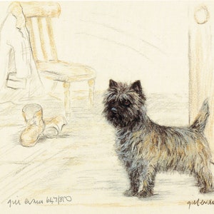 Cairn Terrier Print, Cairn Terrier Picture  GE164P