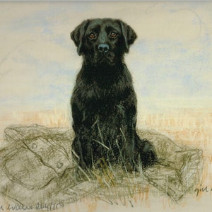 Black Labrador Retriever Print, Black Labrador Retriever Picture  GE173P