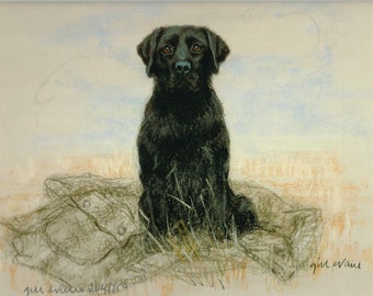 Impresión artística de edición limitada de un labrador retriever negro de Gill Evans (11x8) GE173