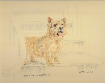 Stampa artistica in edizione limitata Norwich Terrier: ritratto di cane firmato GE103