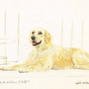 Golden Retriever Print, Golden Retriever Picture  GE078P