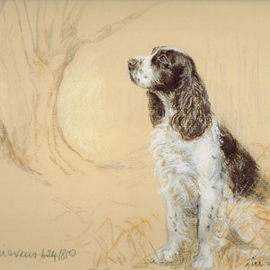 English Springer Spaniel Print, English Springer Spaniel Picture, GE111P