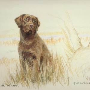 Chocolate Labrador Retriever Print: Signed Limited Edition Dog Art