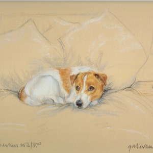 Jack Russell Terrier  Print, Jack Russell Terrier Picture  GE159P