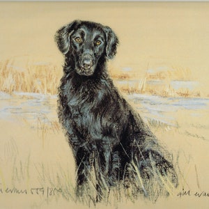 Flat Coated Retriever Limited Edition Art Print by Gill Evans GE101