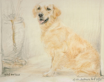 Golden Retriever Limited Edition Print by Gill Evans (11x8) AP26