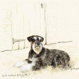 Schnauzer Print, Schnauzer Picture  GE150P