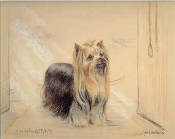 Yorkshire Terrier Print, Yorkshire Terrier Picture  GE142P