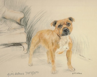 Staffordshire Bull Terrier Print, Staffordshire Bull Terrier Picture  GE039P