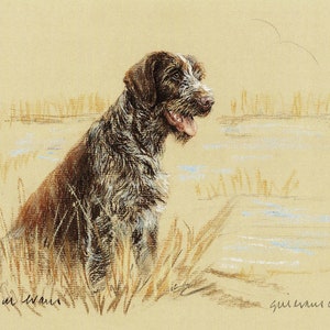 German Wirehaired Pointer Print: Signed Limited Edition Art GE118