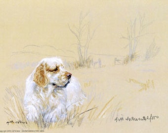 clumber spaniel gifts