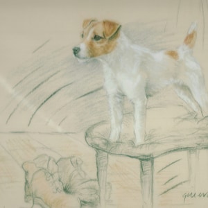 Jack Russell Terrier  Print, Jack Russell Terrier Picture  GE181P