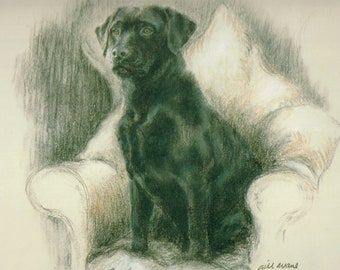 Impresión artística de edición limitada de un labrador retriever negro de Gill Evans (11x8) AP45