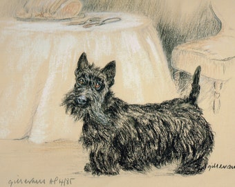 Gill Evans Scottish Terrier Limited Edition Print AP36
