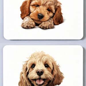 May include: Two rectangular white coasters featuring illustrations of a golden-brown curly-haired puppy. The top coaster shows the puppy resting its head on its paws, while the bottom coaster depicts the same puppy smiling with its mouth open.