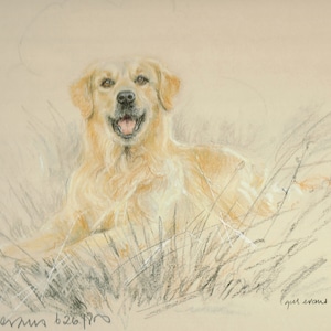 Golden Retriever Print, Golden Retriever Picture  GE048P