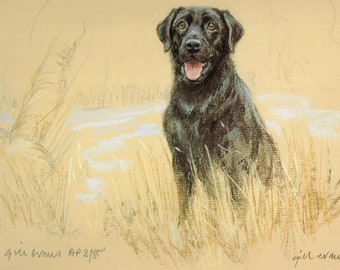 Impresión de Labrador Retriever Negro: Gill Evans Edición Limitada AP41