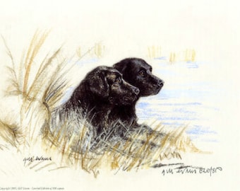 Impresión de edición limitada de Gill Evans Black Labrador Retriever GE110