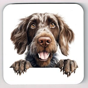 May include: A square coaster with a detailed illustration of a brown and white Wirehaired Pointing Griffon dog. The dog has a happy expression with its tongue out and paws resting on the bottom edge of the coaster.