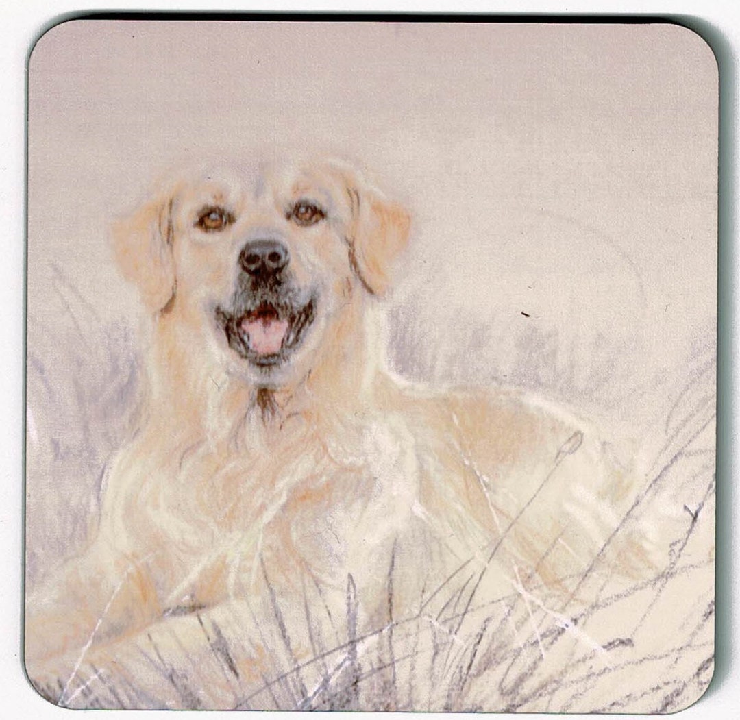 Labrador Coasters Yellow Labrador Coasters, Yellow Labrador Pictures on Coaster - Etsy