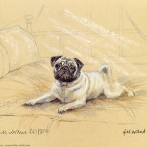 Pug Print, Pug Picture  GE137P